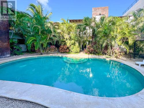 Casa Guadalupe, Mexico, ON - Outdoor With In Ground Pool With Backyard