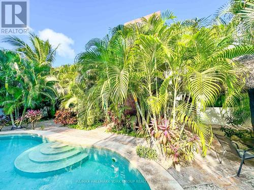 Casa Guadalupe, Mexico, ON - Outdoor With In Ground Pool