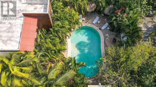 Casa Guadalupe, Mexico, ON - Outdoor With In Ground Pool