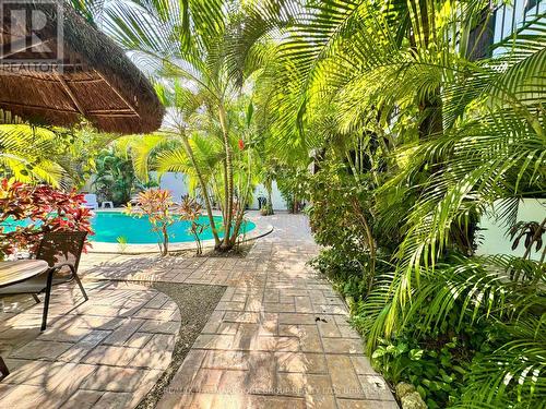 Casa Guadalupe, Mexico, ON - Outdoor With In Ground Pool