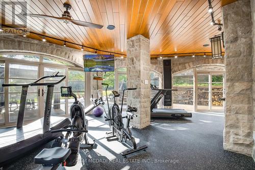 25 Turtle Lake Drive, Halton Hills, ON - Indoor Photo Showing Gym Room
