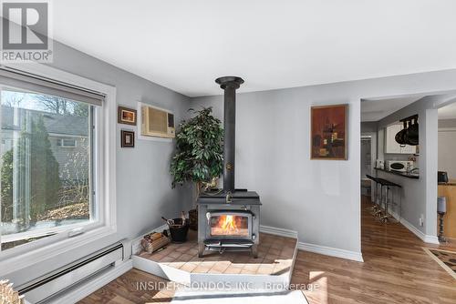 3944 Algonquin Ave, Innisfil, ON - Indoor With Fireplace