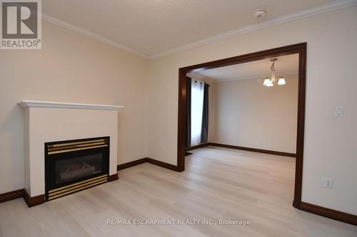 133 Fennell Ave E, Hamilton, ON - Indoor With Fireplace
