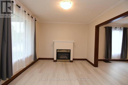133 Fennell Ave E, Hamilton, ON - Indoor With Fireplace