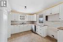 2358 Route 490, Ammon, NB  - Indoor Photo Showing Kitchen With Double Sink 