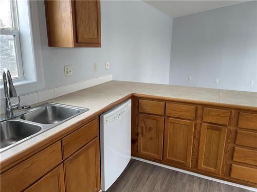 80 Springwood Drive, Winnipeg, MB - Indoor Photo Showing Kitchen With Double Sink