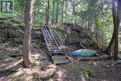 #R48 -2 Beacon Island, Muskoka Lakes, ON 