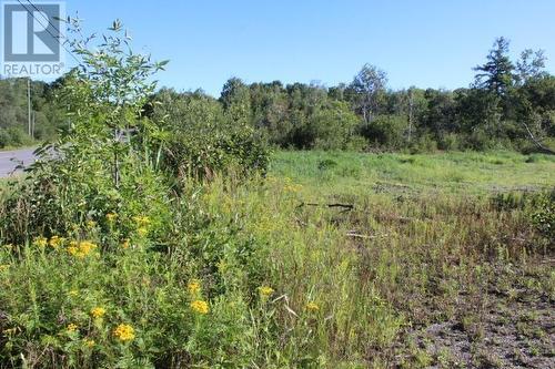 Lot 50 Woodward Ave, Blind River, ON 
