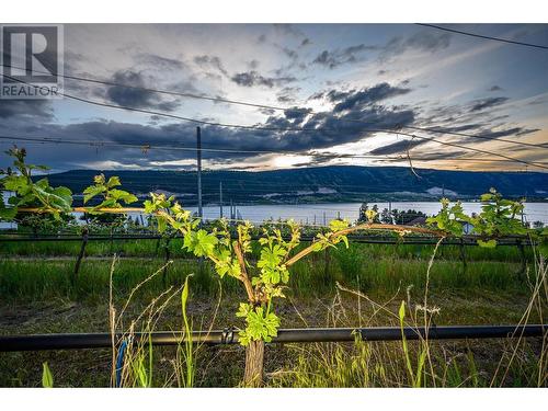 14420 Oyama Road, Lake Country, BC - Outdoor With Body Of Water With View