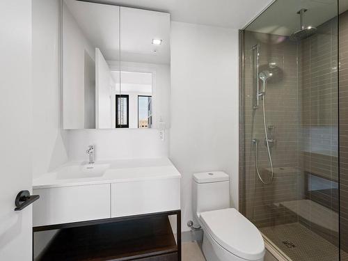 Salle de bains - 3122-1245 Rue De Bleury, Montréal (Ville-Marie), QC - Indoor Photo Showing Bathroom