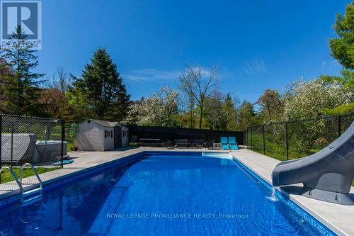 259 County Road 28, Prince Edward County, ON - Outdoor With In Ground Pool With Backyard