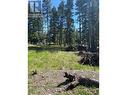 4840 Gloinnzun Drive, 108 Mile Ranch, BC 