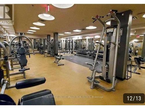 207-60 Absolute Ave, Mississauga, ON - Indoor Photo Showing Gym Room