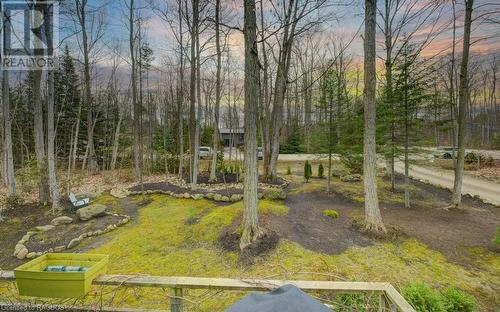 Landscaped front yard! - 16 Pine Forest Drive, Sauble Beach, ON - Outdoor With View