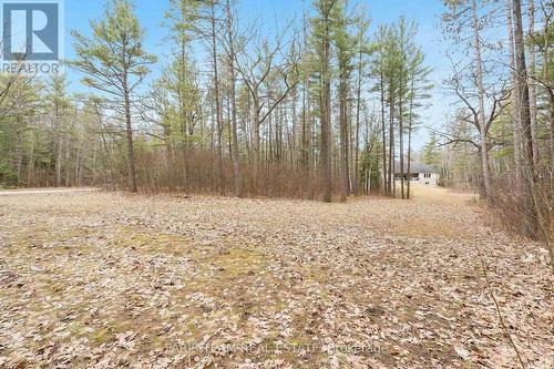 138 Knox Rd E, Wasaga Beach, ON - Outdoor With View