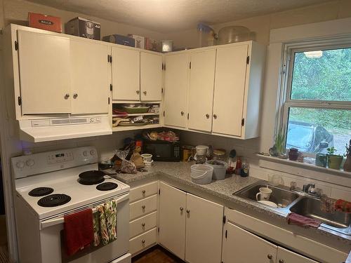 16 View Street, Nelson, BC - Indoor Photo Showing Kitchen With Double Sink