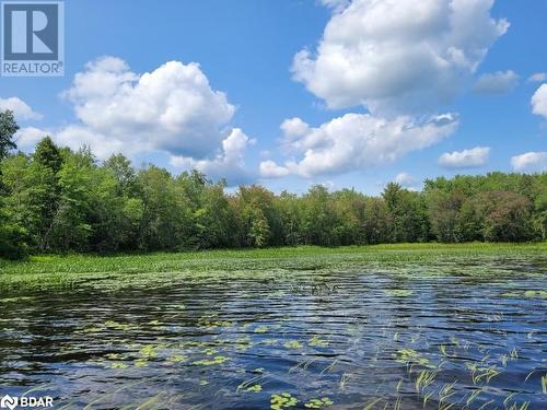 0 Kennebec Lake, Arden, ON 