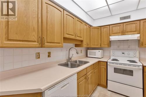 3855 Southwinds Unit# 403, Windsor, ON - Indoor Photo Showing Kitchen With Double Sink