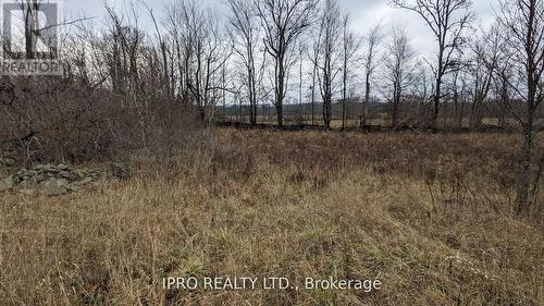 290 Crofts Rd, Marmora And Lake, ON 