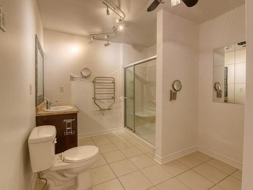 Bathroom - 105-3095 Av. Ernest-Hemingway, Montréal (Saint-Laurent), QC - Indoor Photo Showing Bathroom