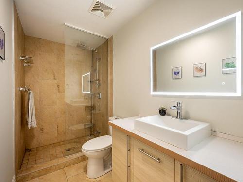 Salle de bains - 6-1240 Rue St-Timothée, Montréal (Ville-Marie), QC - Indoor Photo Showing Bathroom