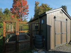 Shed - 