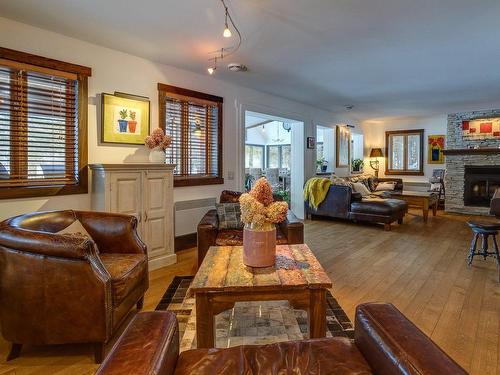 Den - 22 Rue Des Vignes, Austin, QC - Indoor Photo Showing Living Room With Fireplace