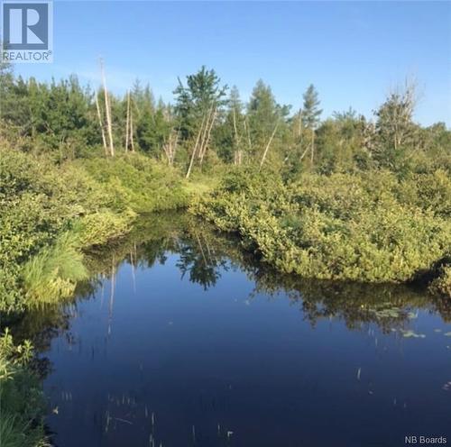 2885 Rte 540, Elmwood, NB - Outdoor With Body Of Water With View