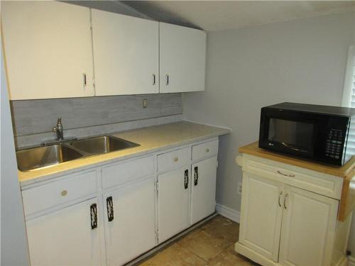 205 Kenilworth Avenue N, Hamilton, ON - Indoor Photo Showing Kitchen With Double Sink