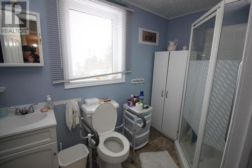 100 Bayview Heights, Corner Brook, NL - Indoor Photo Showing Bathroom