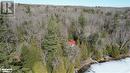 1107 Pluto Trail, Haliburton, ON  - Outdoor With View 