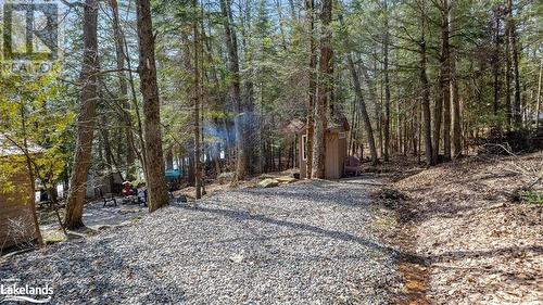 1107 Pluto Trail, Haliburton, ON - Outdoor With View