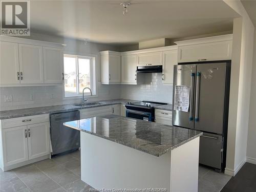 384 Magnolia Lane, Lakeshore, ON - Indoor Photo Showing Kitchen With Upgraded Kitchen