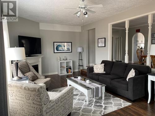 19 West View Lane, Rocky Harbour, NL - Indoor Photo Showing Living Room With Fireplace