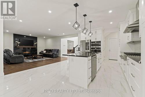 222 Cowan Court, Amherstburg, ON - Indoor Photo Showing Kitchen With Upgraded Kitchen
