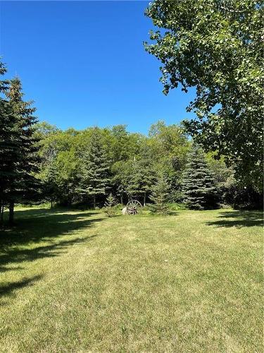 477 93N Road, Shoal Lake, MB - Outdoor With View