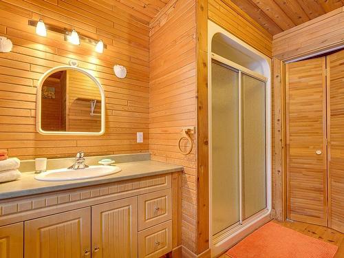 Bathroom - 3390 Rue Lachaine, Val-David, QC - Indoor Photo Showing Bathroom