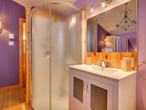 Bathroom - 3390 Rue Lachaine, Val-David, QC - Indoor Photo Showing Bathroom