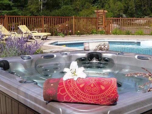 Hot tub - 3390 Rue Lachaine, Val-David, QC - Outdoor With In Ground Pool