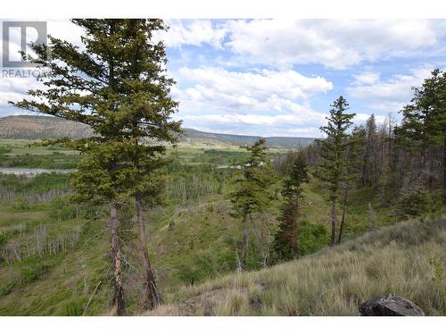 Chilco Ranch Road, Williams Lake, BC 