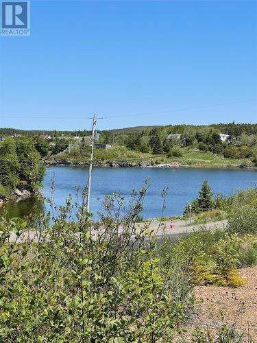 72 Dobers Road, Little Bay, NL 