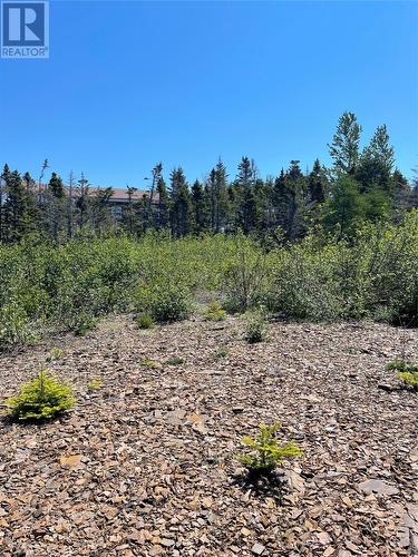 72 Dobers Road, Little Bay, NL 