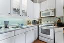 30 Jones Street, Hamilton, ON  - Indoor Photo Showing Kitchen With Double Sink 