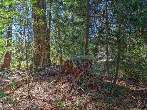 10093 Chemainus Rd, Chemainus, BC - Outdoor With View