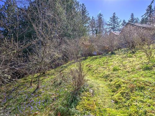 10093 Chemainus Rd, Chemainus, BC - Outdoor With View