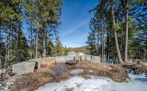 2543 Wilson Road, Cranbrook, BC - Outdoor With View