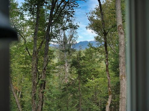 Vue - 80 Ch. Des Magnolias, Mont-Tremblant, QC - Outdoor With View