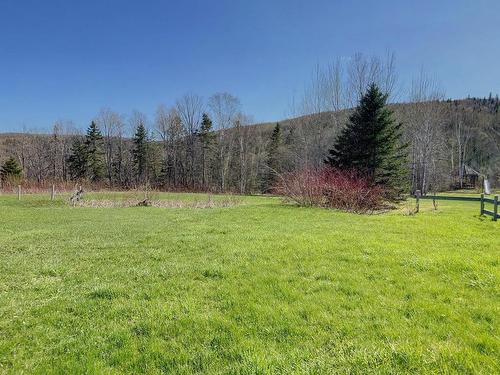 Land/Lot - 25 Boul. Perron O., Matapédia, QC - Outdoor With View