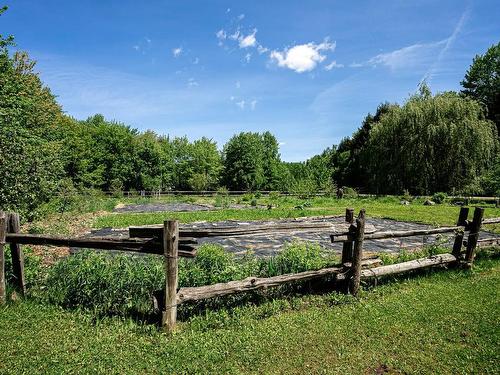 Vue - Rue Lacombe, Notre-Dame-De-Lourdes, QC 