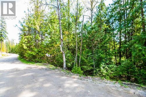 Lot 57 Lonneke Trail, Anglemont, BC 